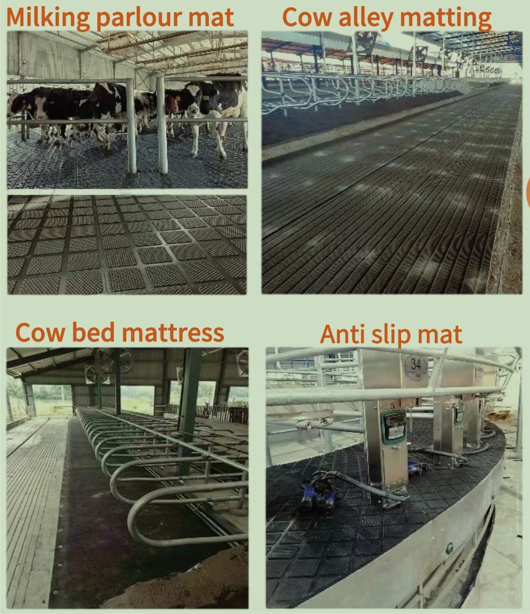 cow mattres use